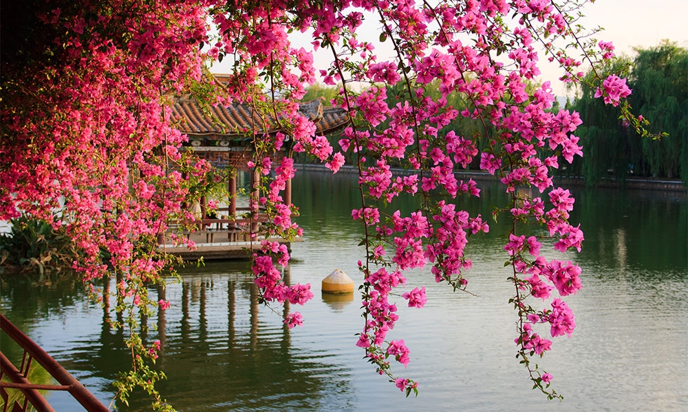 HÀ KHẨU – THẠCH LÂM – CÔN MINH – KIỆU TỬ SƠN – KIẾN THỦY – MÔNG TỰ