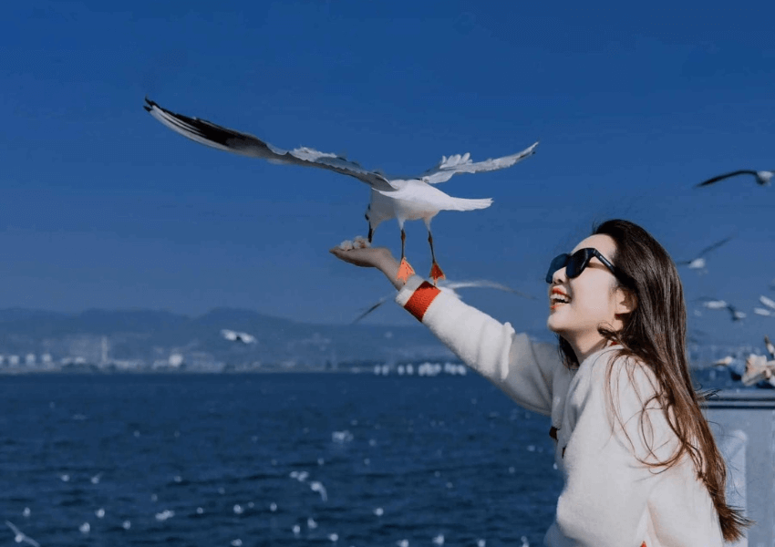 HÀ KHẨU – THẠCH LÂM – CÔN MINH – KIỆU TỬ SƠN – KIẾN THỦY – MÔNG TỰ